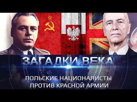 Польские националисты против Красной армии