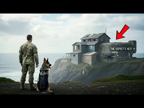 They Laughed at a SEAL Inheriting a Worthless Cliff Cabin—Until His Dog Showed Him the Hidden Legacy