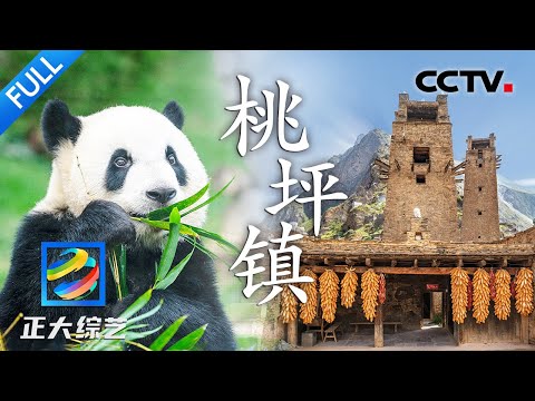 【Full】超治愈！这里的大熊猫幼崽全世界最多！满屏的熊猫宝宝喝盆盆奶萌翻天 | CCTV「正大综艺」20230917