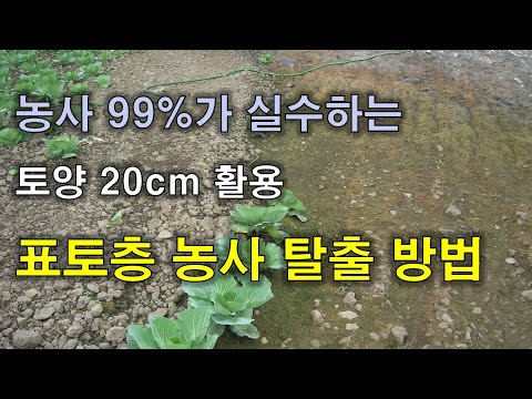 현대 농업기술 최대 문제 - 밑거름 밭갈이 경반층 피해 표토층 농사