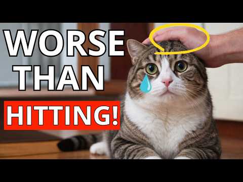 17 Things You MUST STOP DOING with Your Cat!