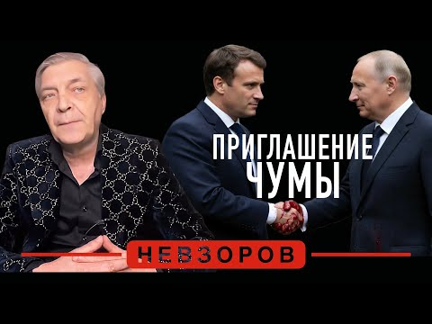 Комитет мира по Украине #невзоров