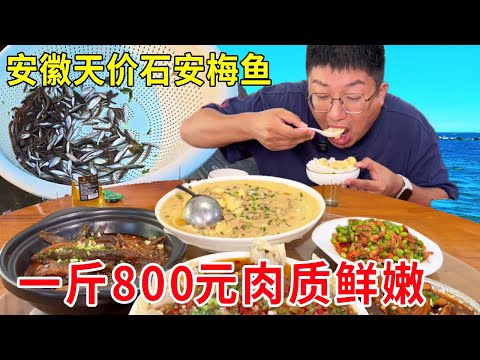 安徽池州吃天价石安梅魚，一斤800元只有梅雨季才有，肉质鲜嫩吃一口就忘不了！#麦总去哪吃