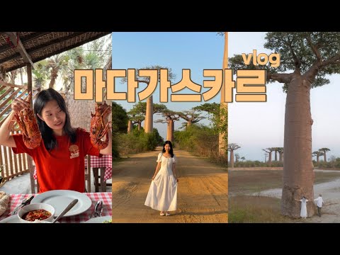 🇲🇬 마다가스카르 시골, 모론다바 무계획 여행하기 • 바오밥나무보러 아프리카 왔다