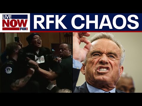 WATCH: Chaos erupts at RFK Jr. hearing