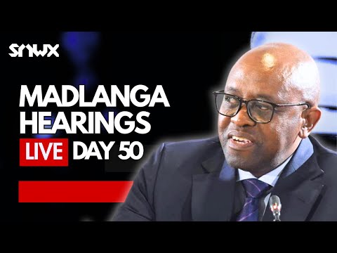 Ballistics expert testifies at Madlanga Commission