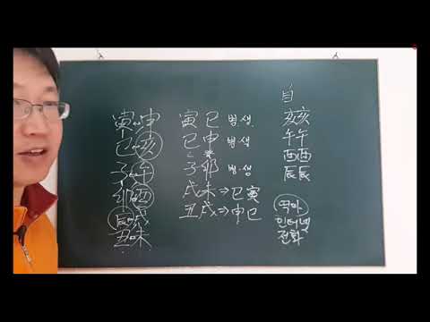 💣 지지충 3 🐯 지지형 삼형살과 개운 - 피클의 행복한 명리