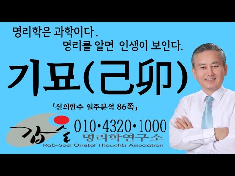 기묘(己卯)일주-(신의한수 일주분석85쪽)-안태옥박사의 명리강의