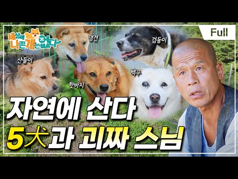 [Full] 세상에 나쁜 개는 없다 - 자연에 산다 5犬과 괴짜 스님