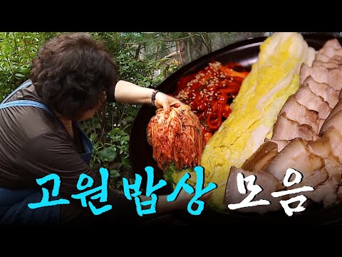 고랭지 배추는 김장 후 1년이 지나도 아삭아삭하다?! 고원 밥상 모음집 Korean Food｜KBS 방송