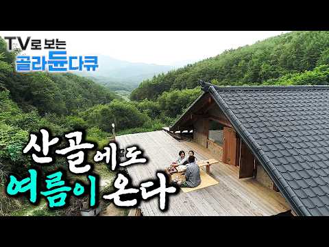 멀리 갈 필요 없지. 집 앞 마당에서 휴가 보내는 사람들 🏝️산골 여름나기 1시간 몰아보기🏝️|한국기행|#tv로보는골라듄다큐