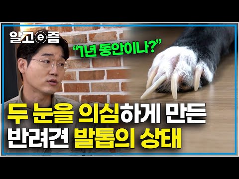 "설쌤도 놀랐다..." 제작진이 건낸 영상을 보고 놀란 세나개 문제견의 심각한 발톱의 상태 │세상에 나쁜 개는 없다│알고e즘