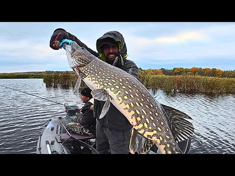 I TELL YOU WHERE HOW FOR WHAT, Fishing for passive PIKE