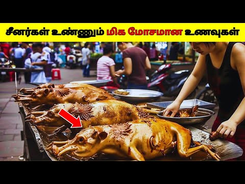 சீனர்கள் உண்ணும் மிக மோசமான உணவுகள் 2025/10 Most Unusual Chinese Foods In Tamil/Dee Amazing