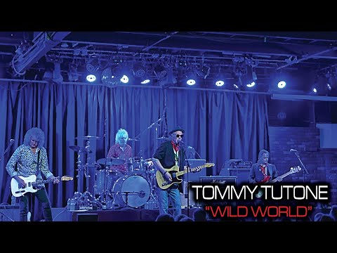TOMMY TUTONE  'Wild World'  live at the Coach House