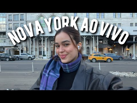 inverno em manhattan, 5ª avenida e central park