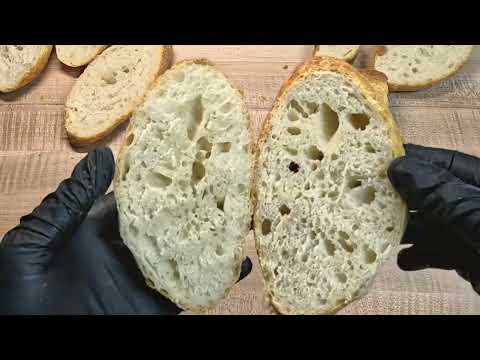 No-Knead Sourdough Rolls (Best Beginner Recipe!)