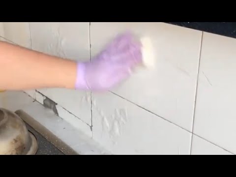 I Cleaned a House Lived in for 10+ Years | Extreme Deep Cleaning Day 1
