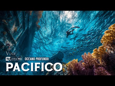El Pacífico Oculto | Dentro del Ecosistema Más Grande y Desconocido del Planeta