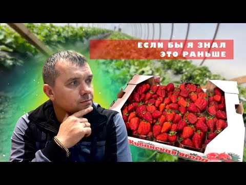 КЛУБНИЧНЫЙ БИЗНЕС/ЧТО НУЖНО ЗНАТЬ КАЖДОМУ НОВИЧКУ!/