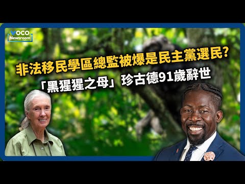 非法滯留學區總監遭爆是民主黨選民｜珍古德91年傳奇人生落幕｜男子高喊殺死ICE探員，芝加哥市長拒絕國民兵進駐｜VOCO新聞室20251002
