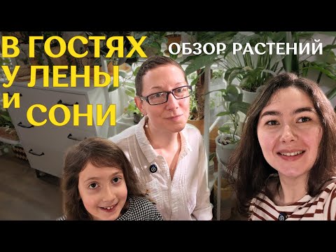 обзор РАСТЕНИЙ у цветочного БЛОГЕРА @lazygreedy ЕЛЕНЫ | стильное РАЗМЕЩЕНИЕ растений В ИНТЕРЬЕРЕ
