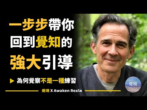 【鲁伯特斯彼拉】安住覺知，並不是一個練習 | Rupert Spira