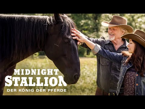 Midnight Stallion: Der König der Pferde (FAMILIENFILM I schöne Spielfilme für die ganze Familie)
