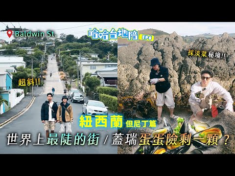 [ENG] 前進紐西蘭但尼丁！世上最陡的街？蓋瑞蛋蛋險剩一顆？神秘採淡菜秘境！傑尼忍不住只好野外？《哈哈台地陪》EP6【哈哈台】