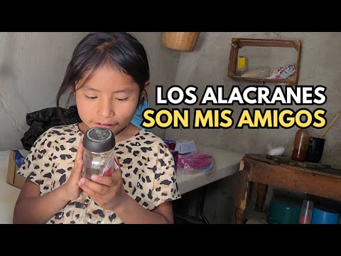 "Con 7 años vivo entre alacranes"