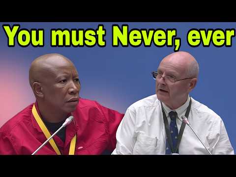 Julius Malema tears apart Paul O'Sullivan Credibility. You must never ever.
