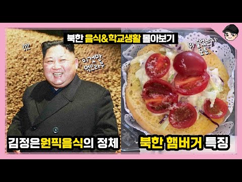 북한 햄버거가 무서운 이유 ㄷㄷ 신기한 북한 음식&학교생활 몰아보기 TOP20 [빠퀴2tv]