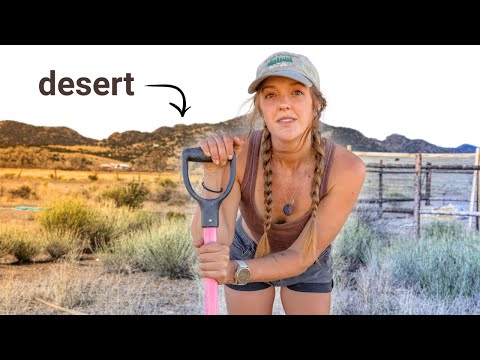 This Changes EVERYTHING | Living ALONE Off-Grid