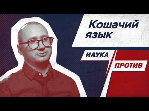 Как понимать котов — объясняет зоопсихолог // Наука против