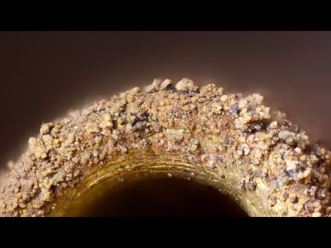 Household Objects (But Extremely Close)