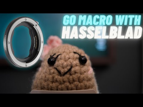 Zoom into details with ANY Hasselblad XCD lens!