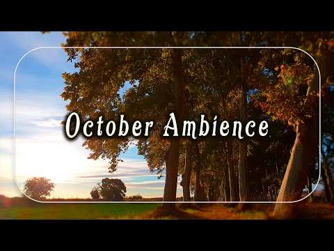 Healing Frequency Autumn Therapy🍂 October Ambience 🍂Beautiful Forest Meditation | Calm Nature Sounds