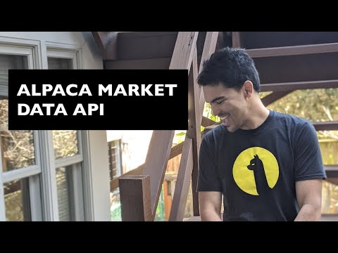 Alpaca Market Data API (Part 2) - REST API 5 Minute and Daily Bars for QQQ Holdings