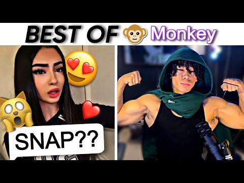 BEST OF AESTHETIC RIZZ ON MONKEY