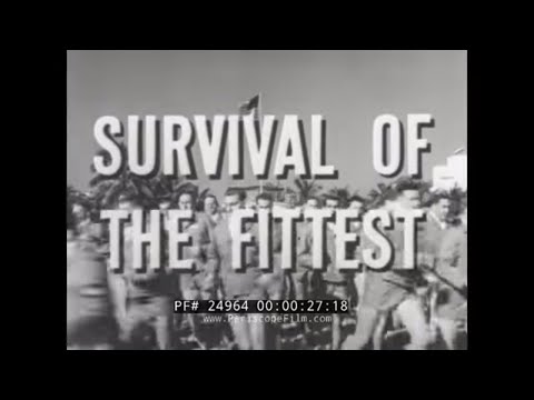 WWII U.S. ARMY AIR FORCES RECRUITING FILMS    BASIC TRAINING & OFFICER'S CANDIDATE SCHOOL OCS 24964