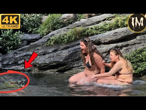 Moments Of Instant Karma Caught On Camera | Instant Regret Fails Compilation 2025 #284