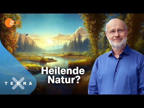 Die unterschätzte Klimachance [Ganze Doku] | Terra X Harald Lesch