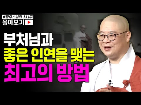 혼자서는 아무것도 못하는 뇌성마비 아들을 위해 어머니가 간절하게 기도했더니.. 감사하는 마음이 진짜 가피다!  [초심으로 돌아가는 광우스님의 소나무 시즌3 몰아보기]