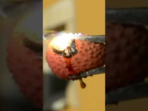 Sun Following Solar Death Ray