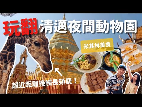 【🇹🇭泰國清邁EP2】夜間動物園適合白天去？米其林美食推薦？觀光客必訪寺廟？寧曼區氣氛超chill超好逛｜MK快樂鳥日子