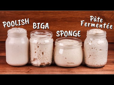 Yeasted Preferments Explained | Poolish, Biga, Sponge, Pâte Fermentée