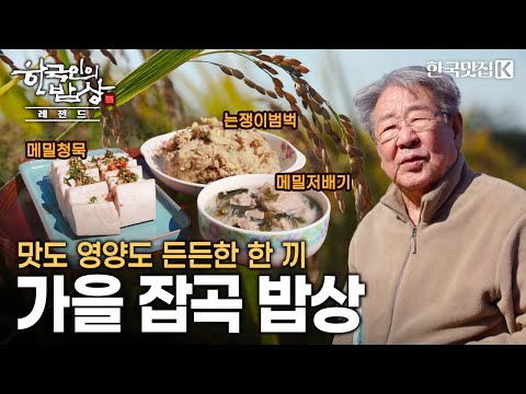 작지만 강한 생명력으로 건강한 밥상을 지켜온 가을 들녘의 주인공 | KBS 221110 방송