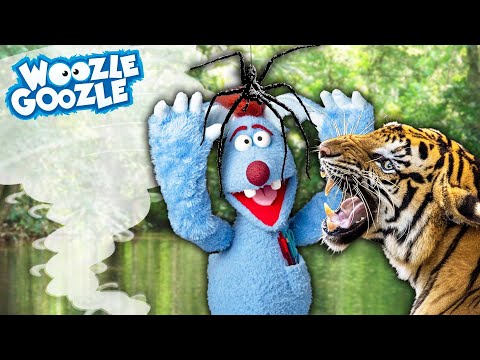 Gefahren aus der Natur l WOOZLE GOOZLE