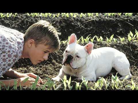 女人为了百万遗产，竟把儿子扔给两个单身老舅公，高分治愈电影，3万人打出8.5高分，20分钟看完2003年家庭喜剧电影《二手狮王》