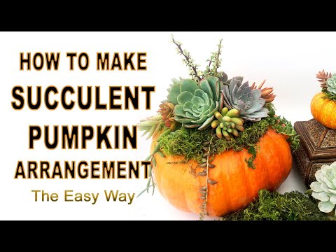 How To Make Succulent Pumpkin Arrangement The Easy Way